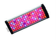 La prova LED dell'acqua IP65 coltiva la luce di pannello, spettro completo coltiva la lampada 240 watt