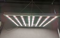 luci progressive dell'interno AC85 - della pianta d'appartamento della luce progressiva di 600w LED tensione in ingresso 265V