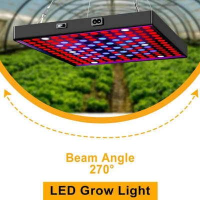 Luce di crescita delle piante a spettro pieno a LED 50w 80W Luce blu rossa per la serra