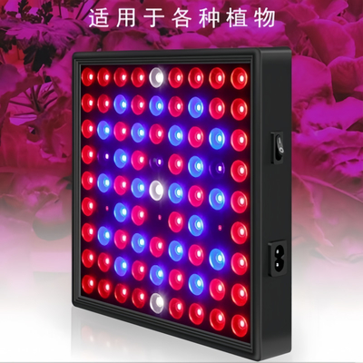 Luce di crescita delle piante a spettro pieno a LED 50w 80W Luce blu rossa per la serra