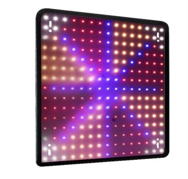 Modello economico Lampada per la crescita delle piante a spettro completo Luce rossa blu per l'illuminazione delle serre