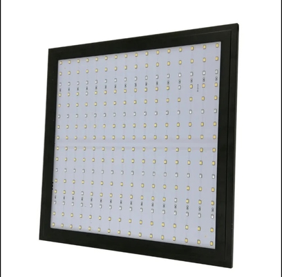 Modello economico Lampada per la crescita delle piante a spettro completo Luce rossa blu per l'illuminazione delle serre