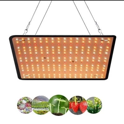 Modello economico Lampada per la crescita delle piante a spettro completo Luce rossa blu per l'illuminazione delle serre