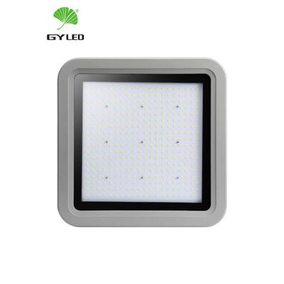 Alta efficienza da 100w a 220w Alta illuminazione LED Spot Light IP66 buono per laboratorio di magazzino