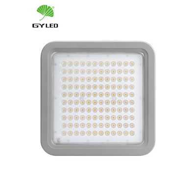 Alta efficienza da 100w a 220w Alta illuminazione LED Spot Light IP66 buono per laboratorio di magazzino