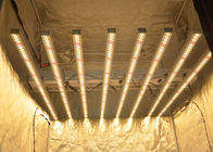 le luci progressive 1000W per le piante d'appartamento coltivano le serre AC100-277V 1200*1150*164