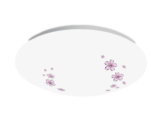 Il soffitto circolare del giro di PMMA ha montato il watt AC175-265V AN-XD-JY-18-01 delle luci 18 del LED