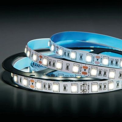 Luce di striscia di dc 12 o di DC24 V LED con colore leggero differente