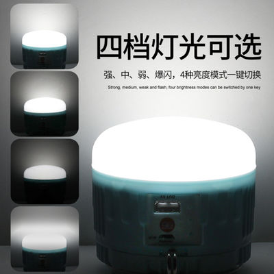 luce di campeggio IP55 20000h del pannello solare di 50w RoHS