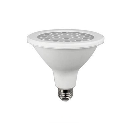 Il paesaggio mette in luce le lampadine dell'interno di Par38 Par20 LED Ac175-265v 3000k