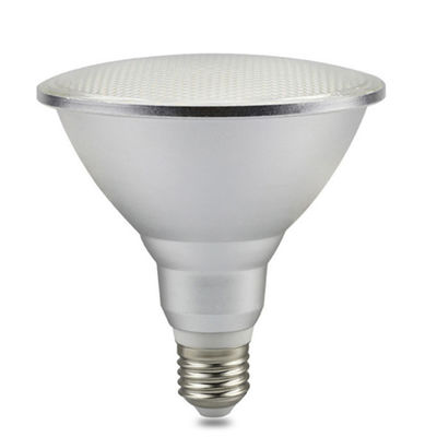 Il paesaggio mette in luce le lampadine dell'interno di Par38 Par20 LED Ac175-265v 3000k